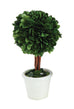 small round preserved boxwood topiary with stem