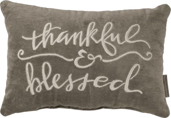 thankful and blessed velvet pillow